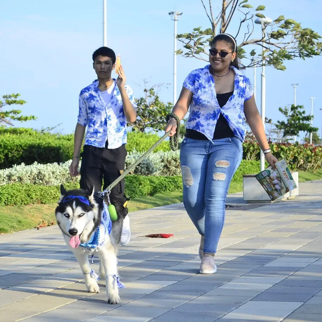 whatsapp image 2025 08 15 at 1.23.03 am